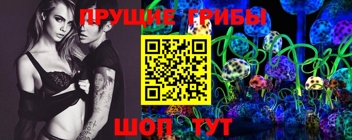 Псилоцибиновые грибы мицелий Сунжа
