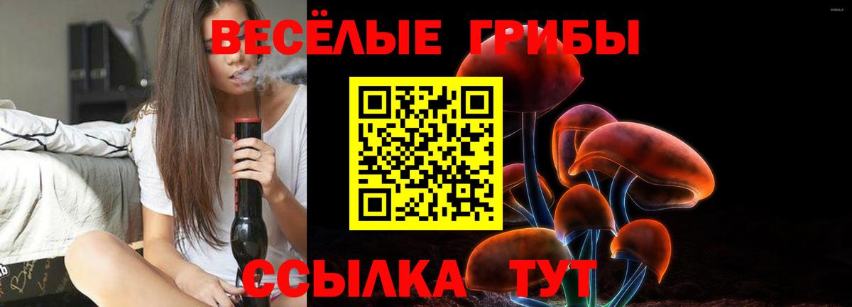 Галлюциногенные грибы мухоморы  Вход с VPN  Сунжа 
